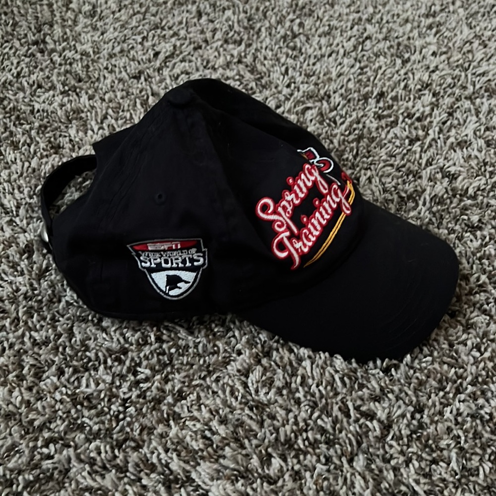 Atlanta Braves Disney Spring Training - Picture 2 of 4
